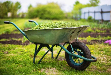 oko Wheel Barrow